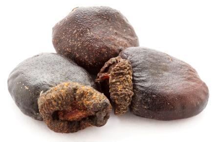 Bhallataka Marking Nut Uses Qualities Purification Side Effects