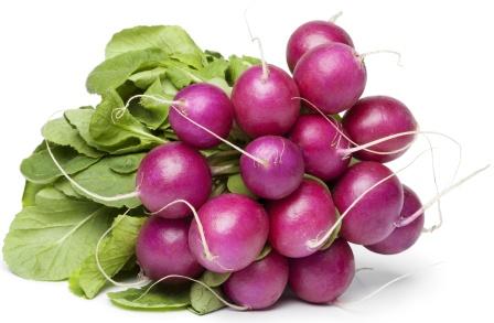 radish purple effects benefits side dose usage easyayurveda