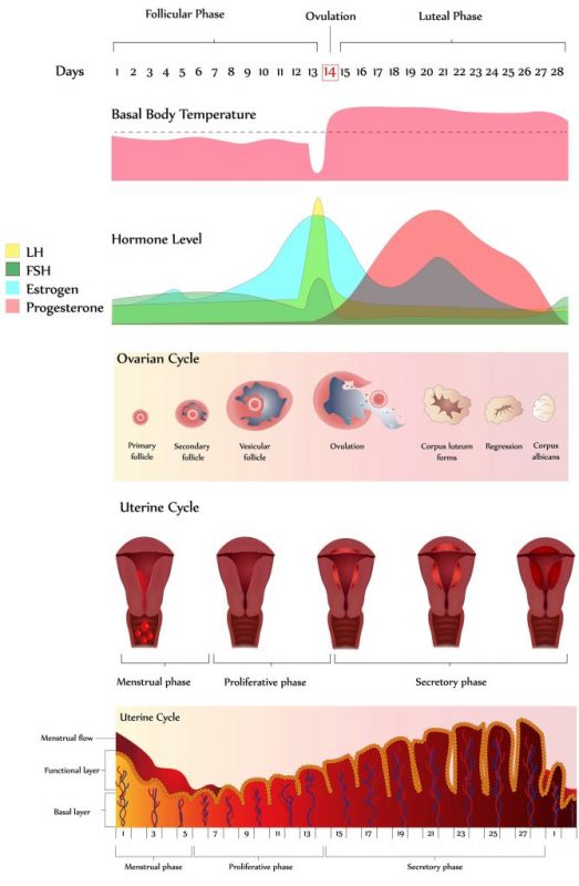 Ongoing bleeding after online period