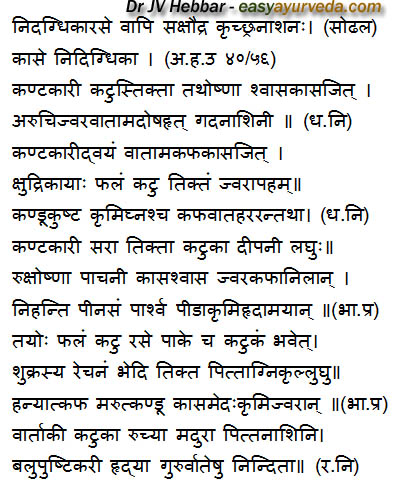 Kantakari Solanum surattense / xanthocarpum Uses, Dose, Research, Side ...