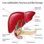 Liver Diseases: Symptoms, Treatment, Home Remedies