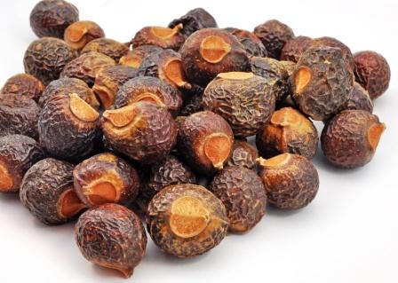 Reetha Soapnut Uses Research Side Effects