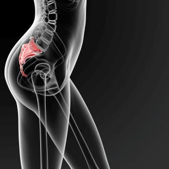 Why Does My Tailbone Hurt?, New Jersey
