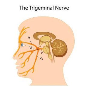 Trigeminal Neuralgia: Ayurvedic Treatment, Medicines