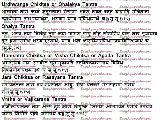 Ashtanga Ayurveda The Eight Branches of Ayurveda