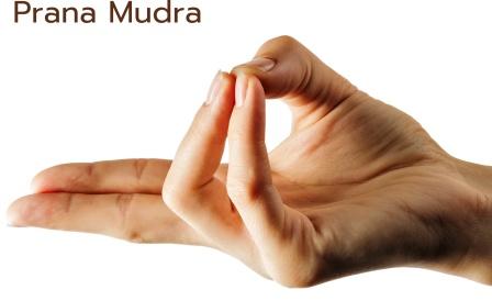 Prana Mudra - Procedure, Best Time To Do, Benefits