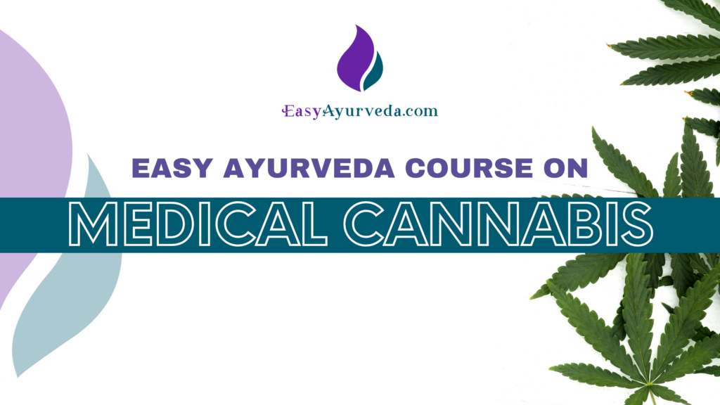 Video Course On Medical Cannabis